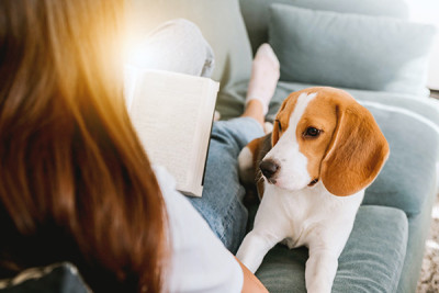 Lady reading a book on couch with dog
