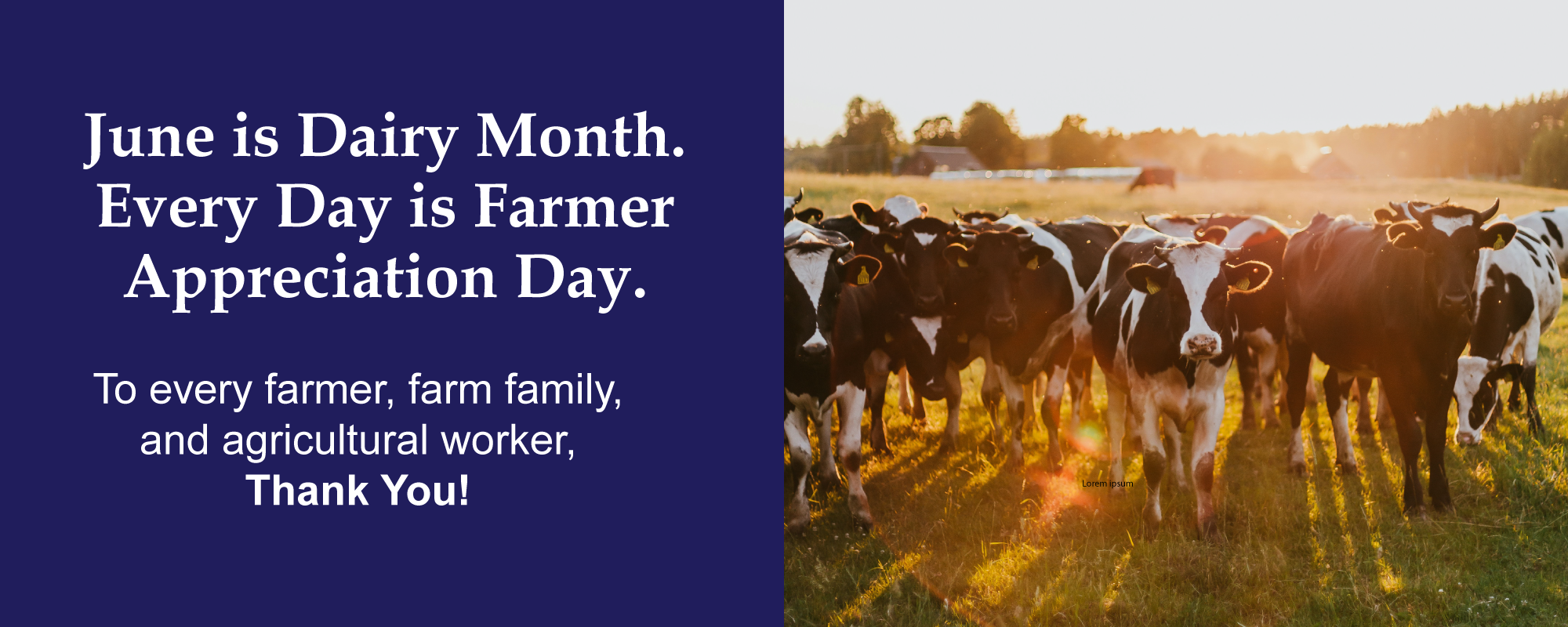 2026-06-Dairy-Month-WebBanner